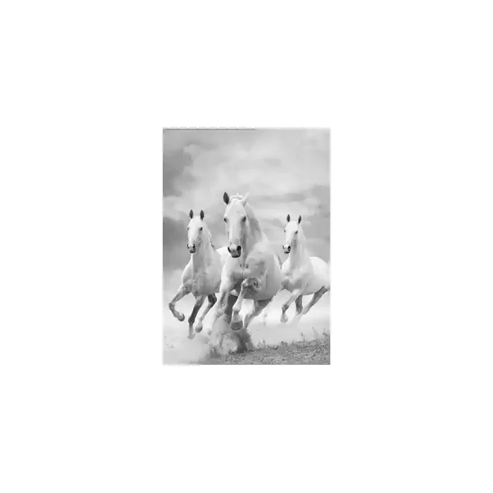 Fotomural Caballos FAN011, 200cm. x 220cm., Vinilo Autoadhesivo Mate, Blanco y Negro, Original, 0x0x0x0 cm.
