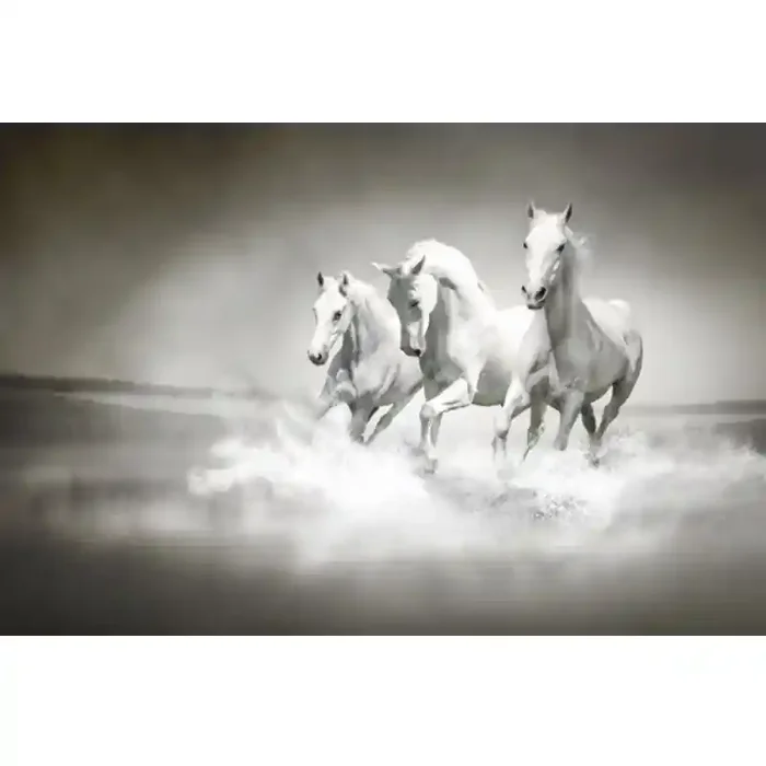 Fotomural Caballos FAN017, 100cm. x 66cm., Vinilo Autoadhesivo Mate, Todo Color, Original, 0x0x0x0 cm.