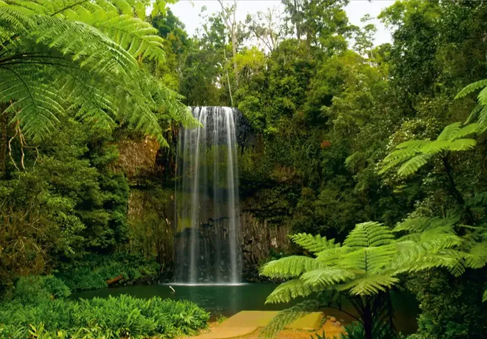 fotomural cascada verde de Sanders & Sanders – 600345