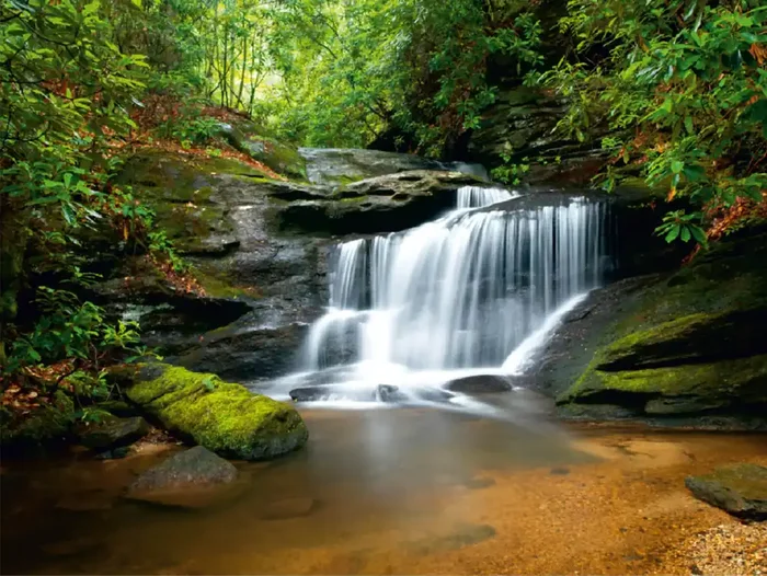 fotomural cascada verde de Sanders & Sanders – 600419