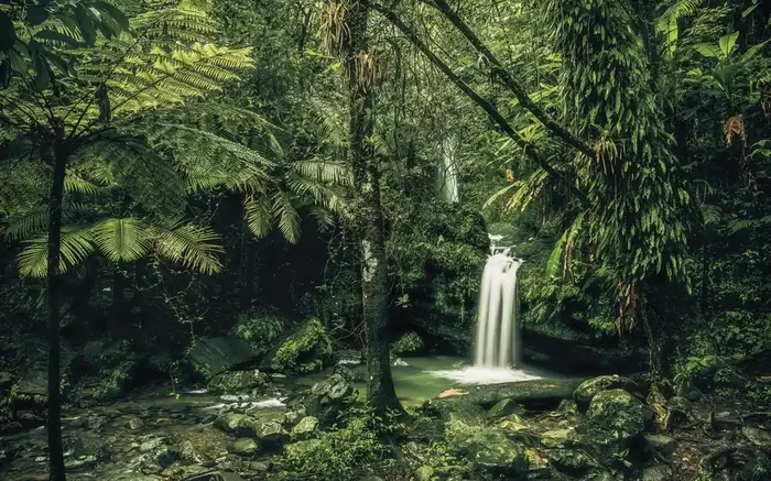 fotomural cascada verde de Sanders & Sanders – 612533