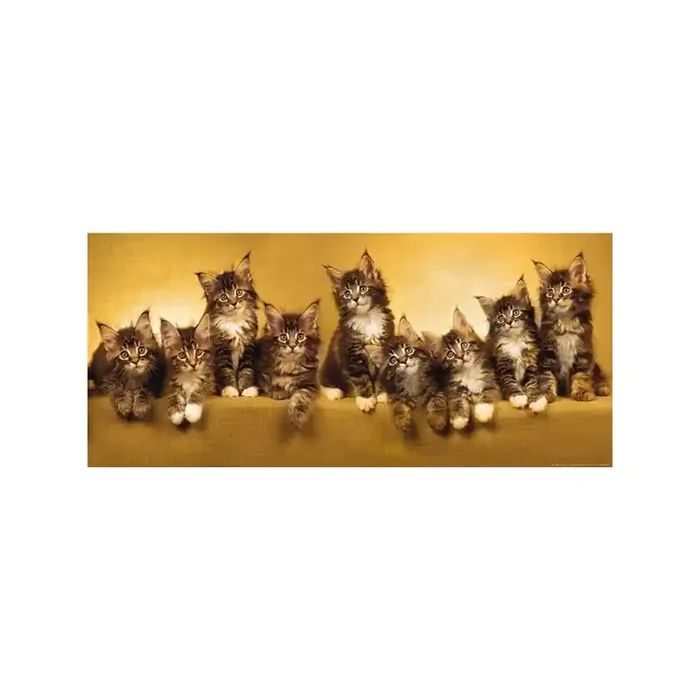 Fotomural CATS