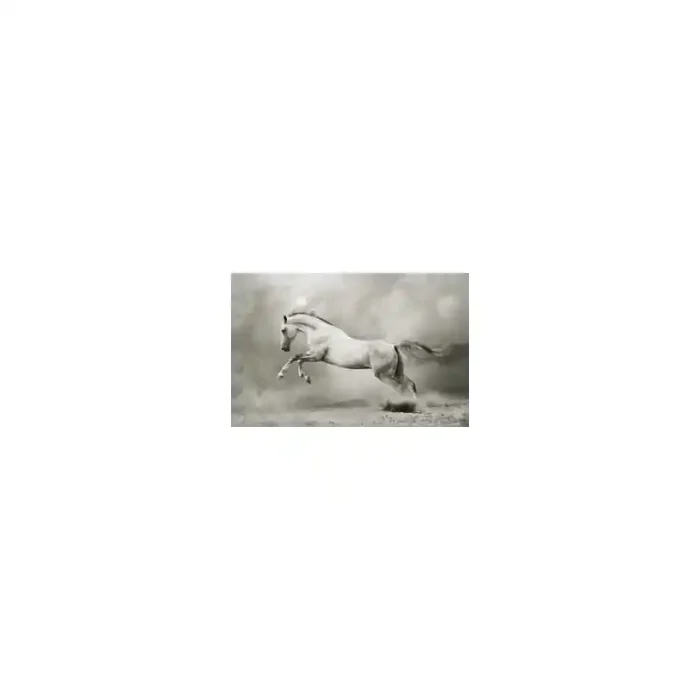 Fotomural Cavalo FAN013, 200cm. x 270cm., Vinilo Autoadhesivo Mate, Todo Color, Original, 0x0x0x0 cm.