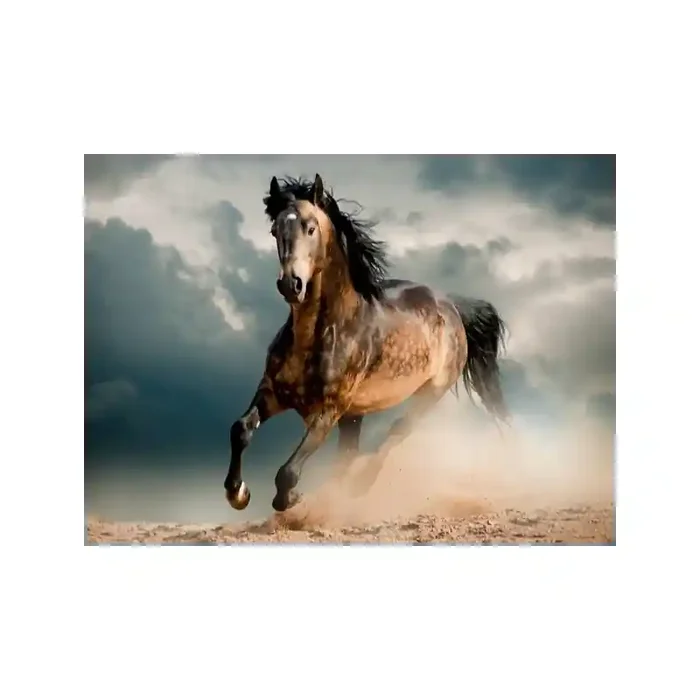 Fotomural Cavalo FAN035, 150cm. x 110cm., Vinilo Autoadhesivo Mate, Todo Color, Original, 0x37.82x0x2.18 cm.