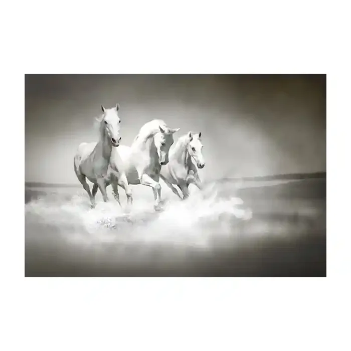 Fotomural Cavalos FAN017, 300cm. x 198cm., Vinilo Autoadhesivo Mate, Todo Color, Invertir, 0x0x0x0 cm.