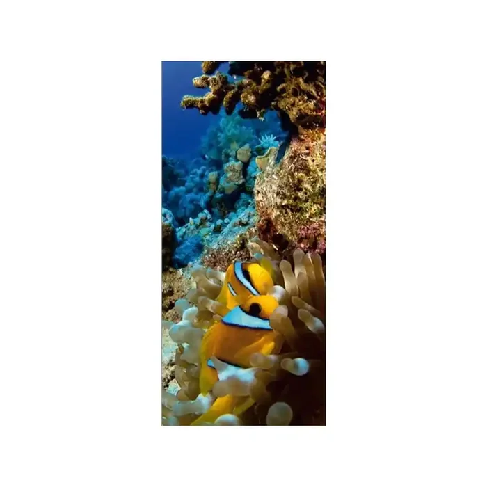 Fotomural CORAL REEF FT-0223