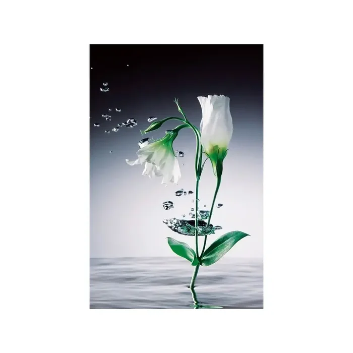 Fotomural CRYSTAL FLOWERS 673
