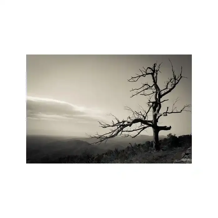 Fotomural Decorativo FV010, 350cm. x 234.5cm., Vinilo Autoadhesivo Mate, Todo Color, Original, 0x0x0x0 cm.