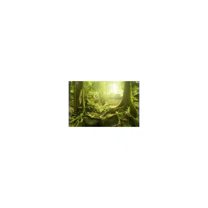 Fotomural Decorativo FV025, 100cm. x 200cm., Vinilo Autoadhesivo Mate, Todo Color, Original, 0x0x0x0 cm.