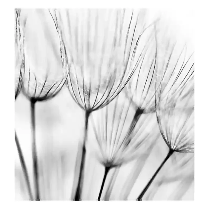 Fotomural Decorativo FV029, 115cm. x 120.6cm., Vinilo Autoadhesivo Mate, Todo Color, Original, 0x0x0x0 cm.
