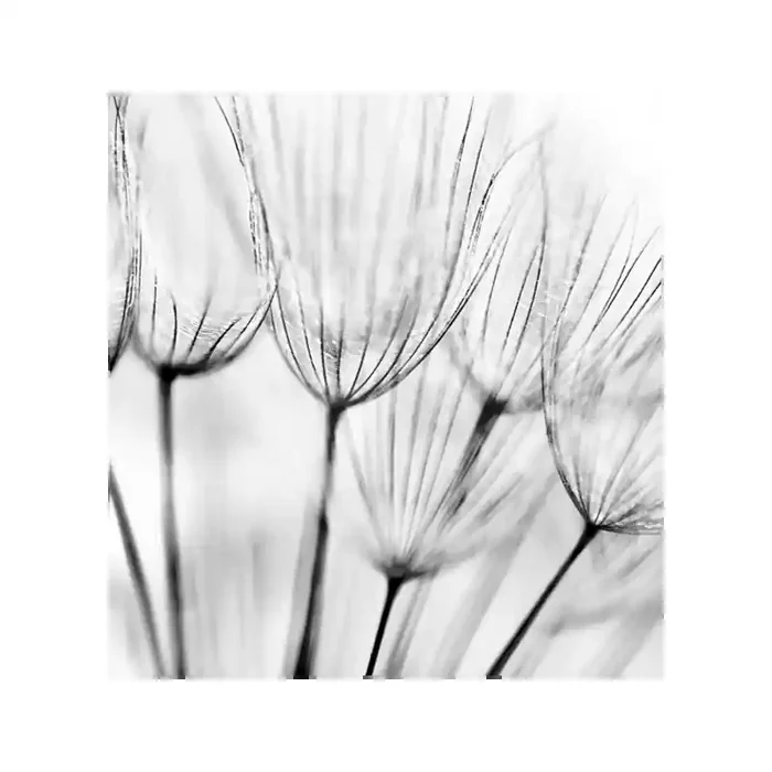Fotomural Decorativo FV029, 285.7cm. x 300cm., Vinilo Autoadhesivo Mate, Todo Color, Original, 0.15x0x0.15×0 cm.