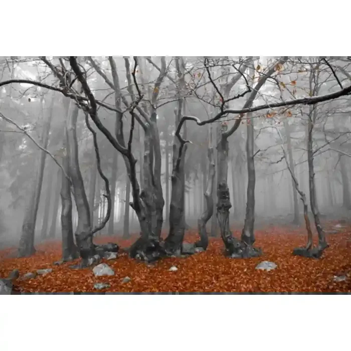 Fotomural Decorativo FV030, 100cm. x 67cm., Vinilo Autoadhesivo Mate, Todo Color, Original, 0x0x0x0 cm.