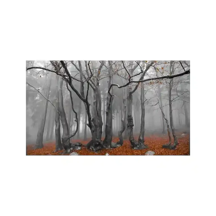 Fotomural Decorativo FV030, 270cm. x 156cm., Vinilo Autoadhesivo Mate, Todo Color, Original, 0x6.89x0x17.11 cm.