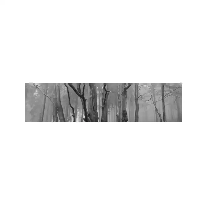 Fotomural Decorativo FV030, 330cm. x 80cm., Vinilo Autoadhesivo Mate, Blanco y Negro, Original, 0x64.05x0x75.95 cm.
