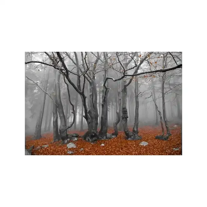 Fotomural Decorativo FV030, 390cm. x 260cm., Vinilo Autoadhesivo Mate, Todo Color, Original, 0x0x0x0 cm.