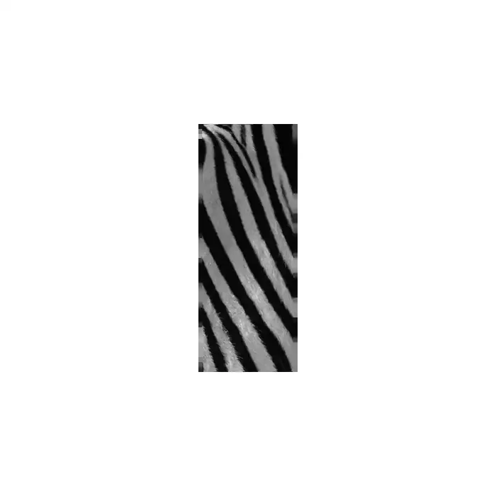 Fotomural Decorativo FV032, 100cm. x 270cm., Vinilo Autoadhesivo Mate, Todo Color, Original, 37.72x0x37.72×0 cm.