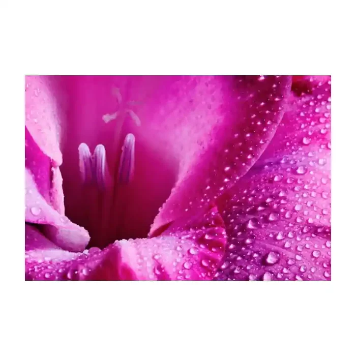 Fotomural Decorativo FV036, 150cm. x 240cm., Vinilo Autoadhesivo Mate, Todo Color, Original, 0x0x0x0 cm.