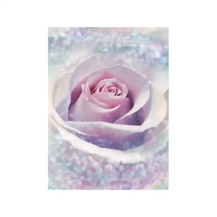 Fotomural DELICATE ROSE XXL2-020
