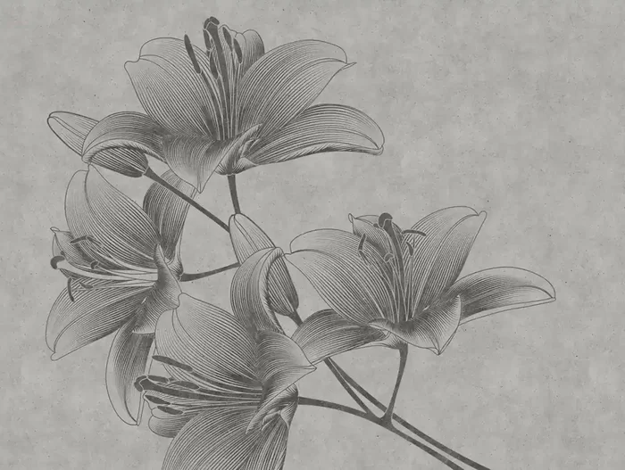fotomural diseño floral gris de One Wall one Role – AS-382781