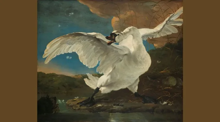 fotomural El Cisne Amenazado de Jan Asselijn marrón de Sanders & Sanders – 950047