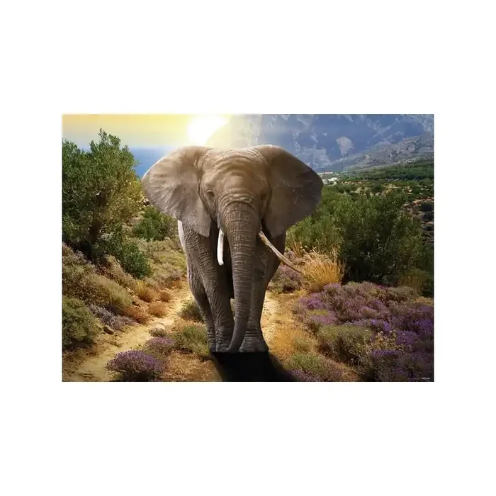 Fotomural ELEPHANT