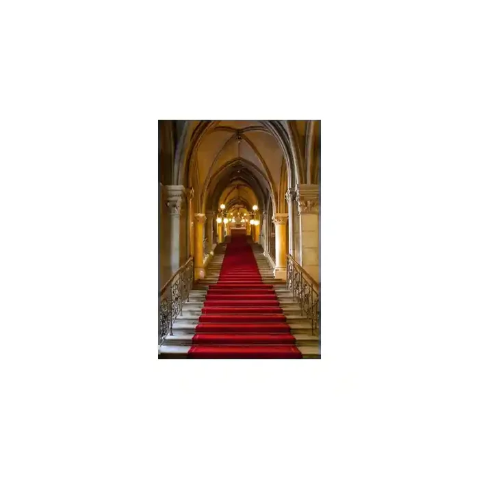 Fotomural Escaleras Castillo FPR016, 115cm. x 215cm., Vinilo Autoadhesivo Mate, Todo Color, Original, 0x0x0x0 cm.