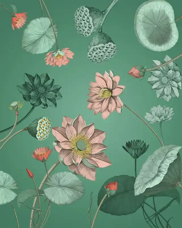 fotomural flor de loto verde y rosa de Sanders & Sanders – 612728