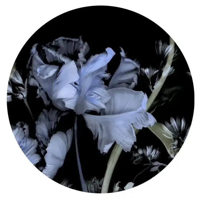 fotomural flores azul agrisado de Erismann – 661688