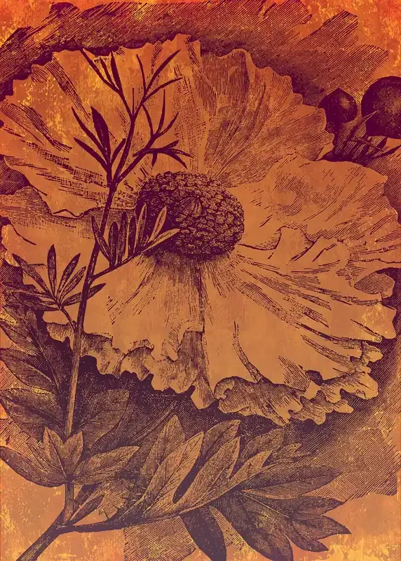 fotomural flores naranja cálido de Sanders & Sanders – 611978