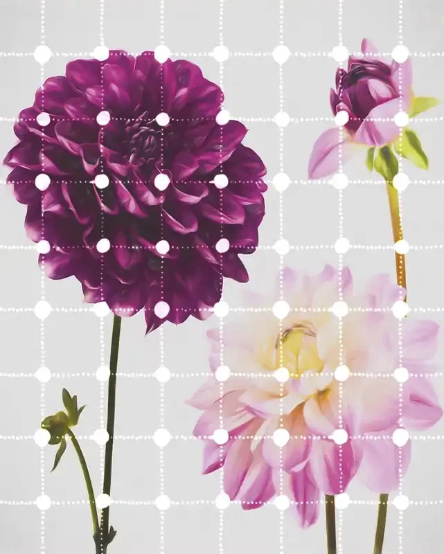 fotomural flores y puntos rosa de Sanders & Sanders – 611885