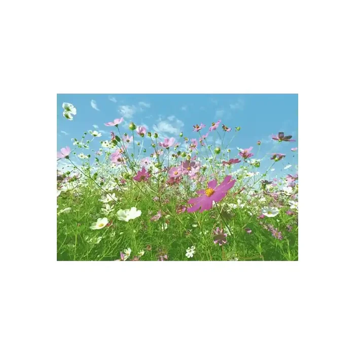 Fotomural FLOWER MEADOW
