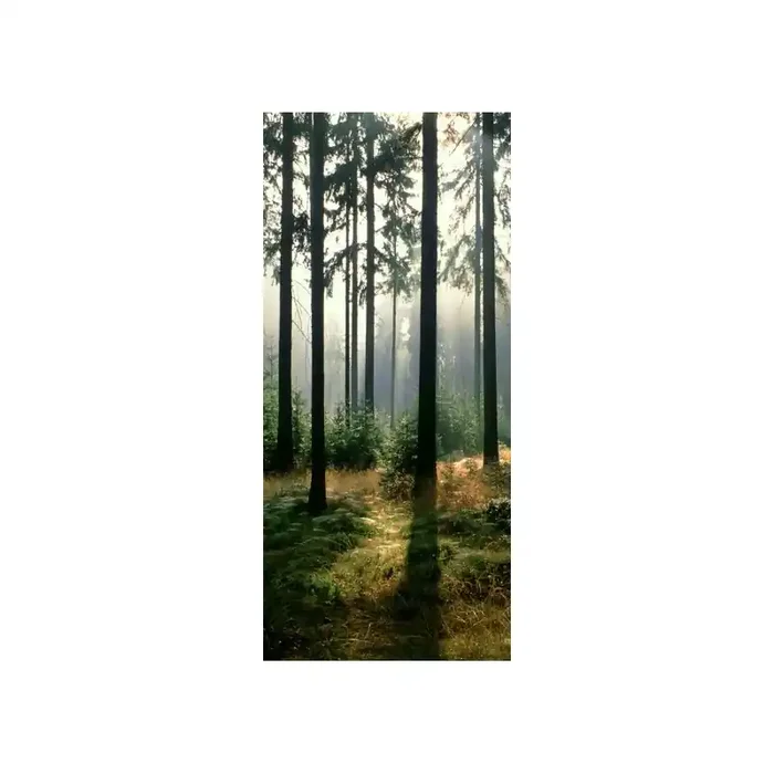 Fotomural FOREST IN THE MORNING 97599