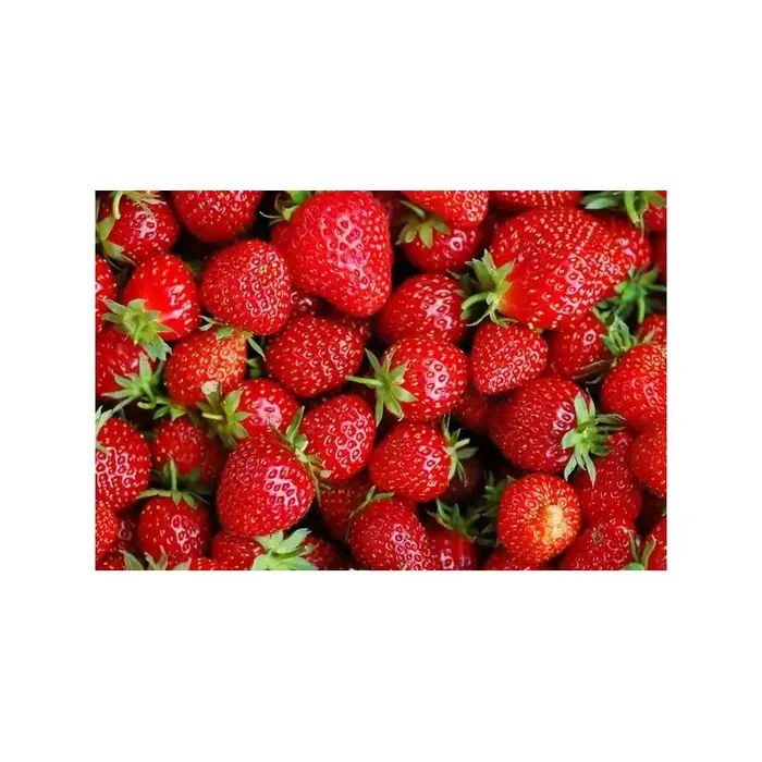 Fotomural Fresas FAL013