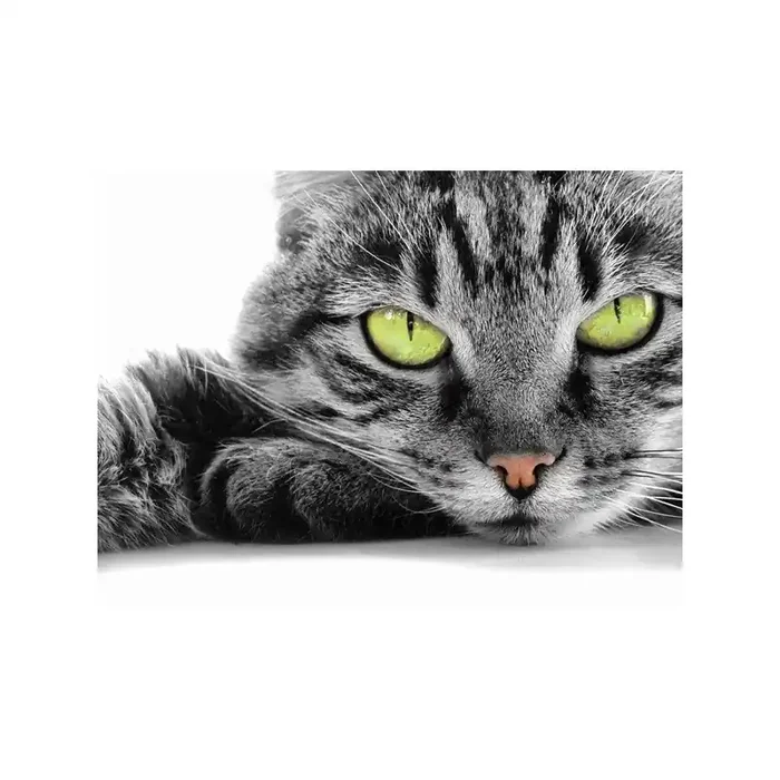 Fotomural Gato FAN004