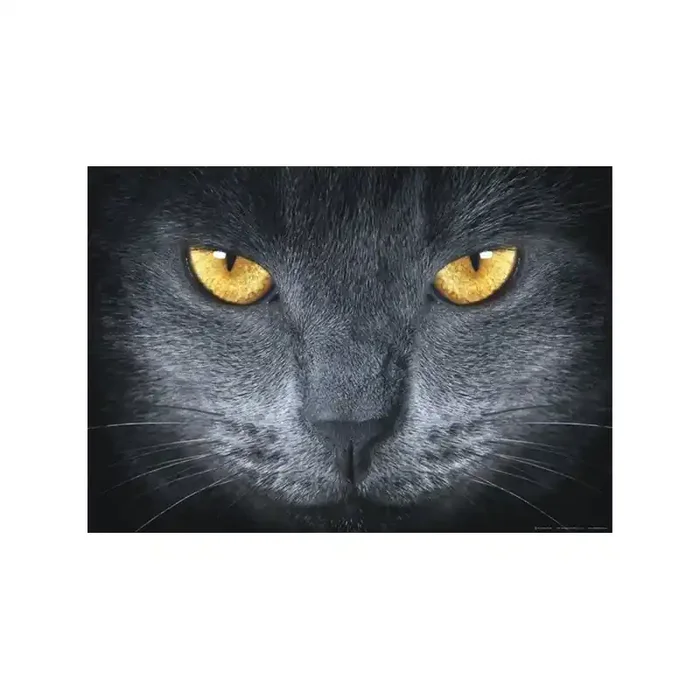 Fotomural GREY CAT