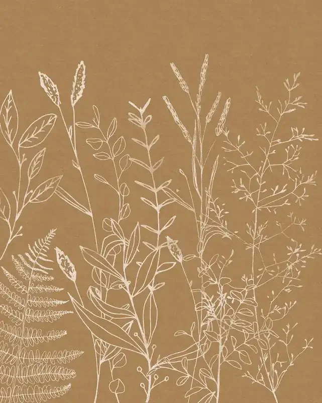 fotomural Herbs Garden beige de Komar – 611184