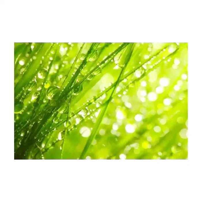 Fotomural Hierba Fresca FNA004, 190cm. x 126.7cm., Vinilo Autoadhesivo Mate, Todo Color, Original, 0x0x0x0 cm.
