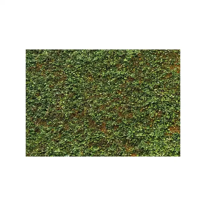 Fotomural IVY WALL