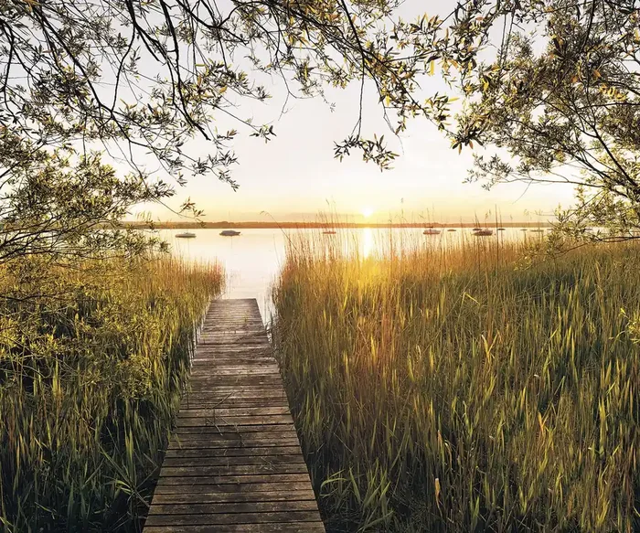 fotomural junto al lago verde de Sanders & Sanders – 612526
