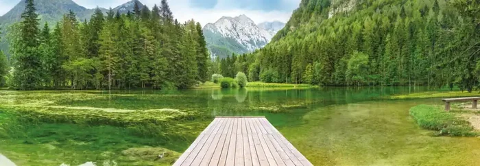 fotomural lago verde de Sanders & Sanders – 612297