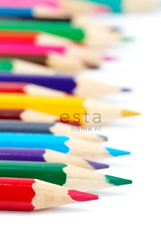 fotomural lápices de colores multicolor de ESTAhome – 156504