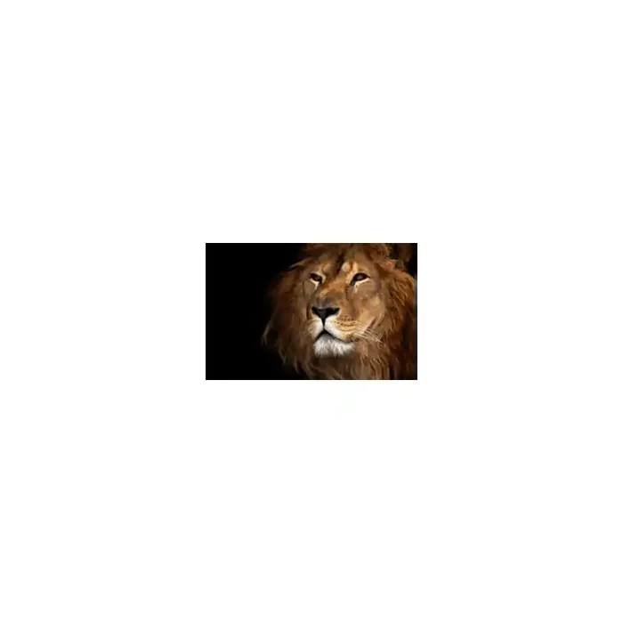 Fotomural Leon FAN012, 100cm. x 67cm., Vinilo Autoadhesivo Mate, Todo Color, Original, 0x0x0x0 cm.