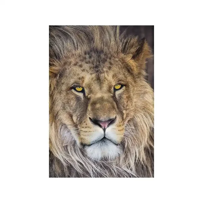Fotomural LION