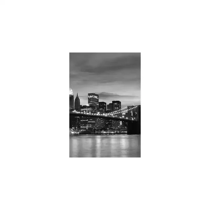 Fotomural Manhattan FLF016, 165cm. x 255cm., Vinilo Autoadhesivo Mate, Todo Color, Original, 46.91x0x46.91×0 cm.