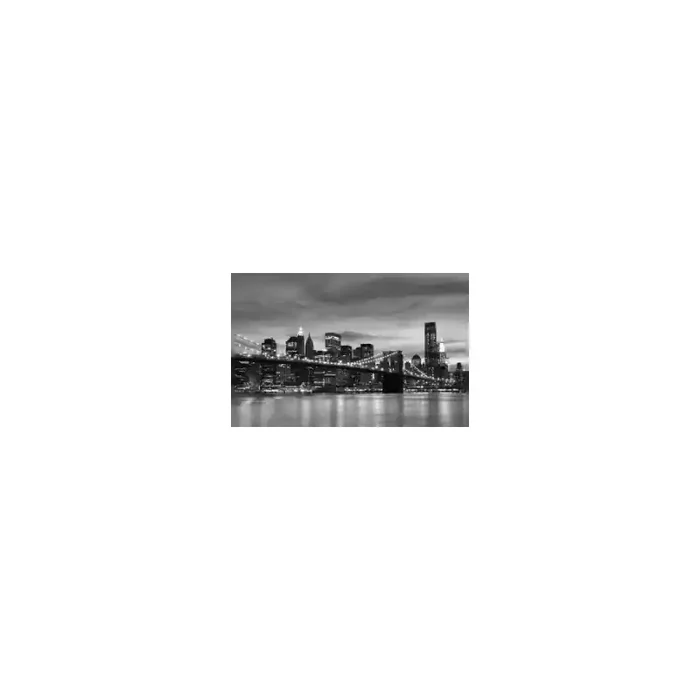 Fotomural Manhattan FLF016, 250cm. x 220cm., Vinilo Autoadhesivo Mate, Blanco y Negro, Original, 0x0x0x0 cm.