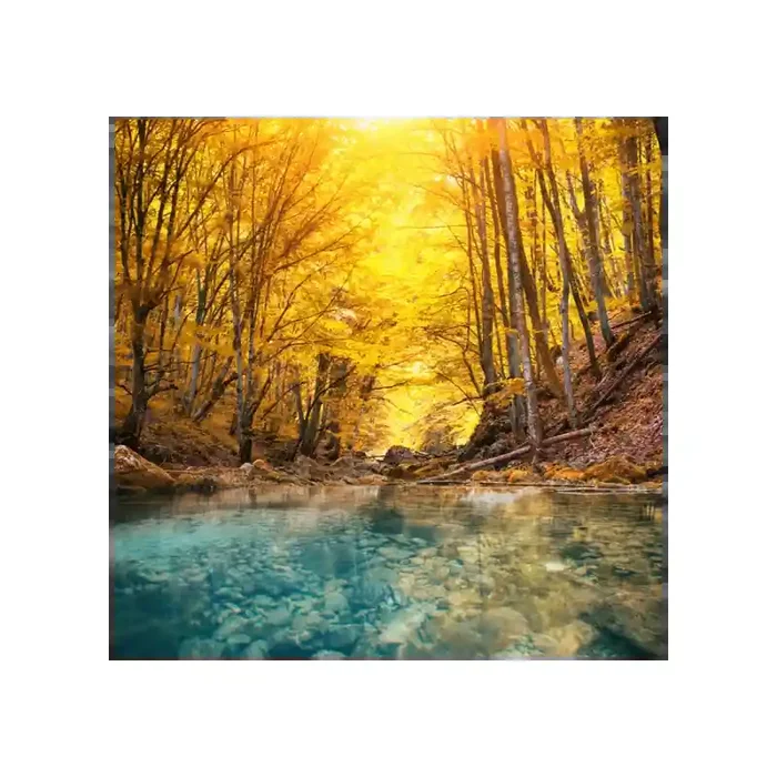 Fotomural Margem do Rio FPR035, 250cm. x 245cm., Vinilo Autoadhesivo Mate, Todo Color, Original, 7.44x0x7.44×0 cm.