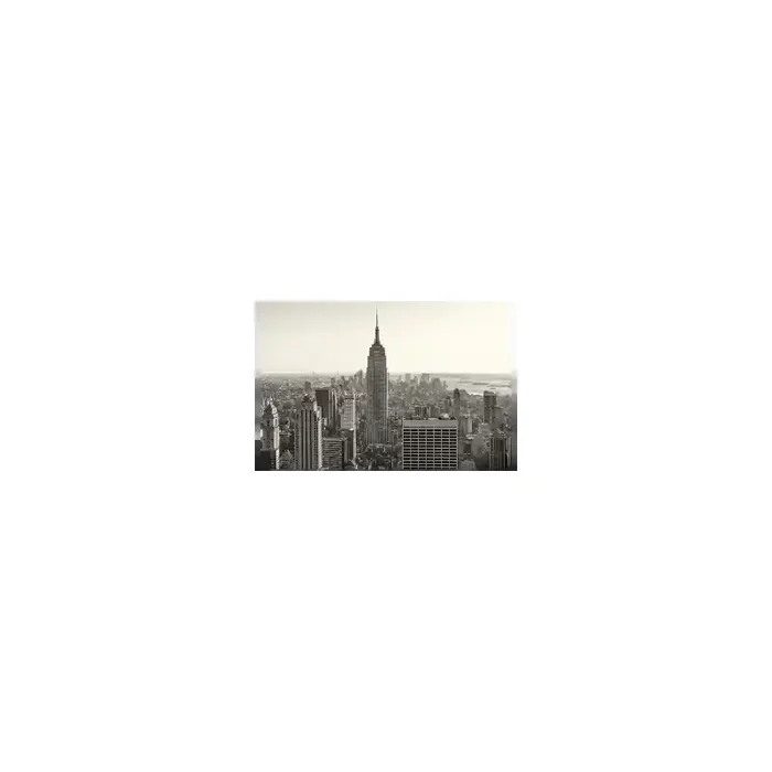 Fotomural New York City FLF008, 195cm. x 130cm., Vinilo Autoadhesivo Mate, Todo Color, Original, 0x0x0x0 cm.