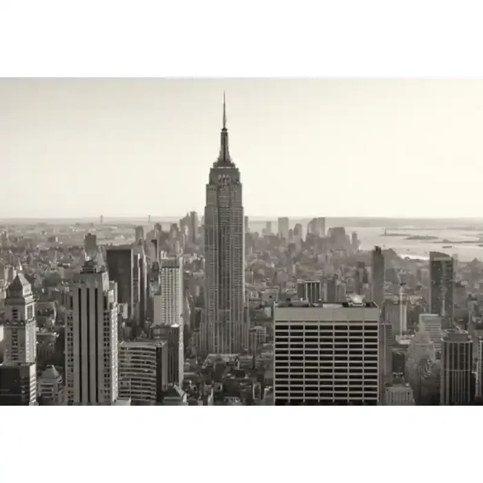 Fotomural New York City FLF008, 195cm. x 130cm., Vinilo Autoadhesivo Mate, Todo Color, Original, 0x0x0x0 cm.