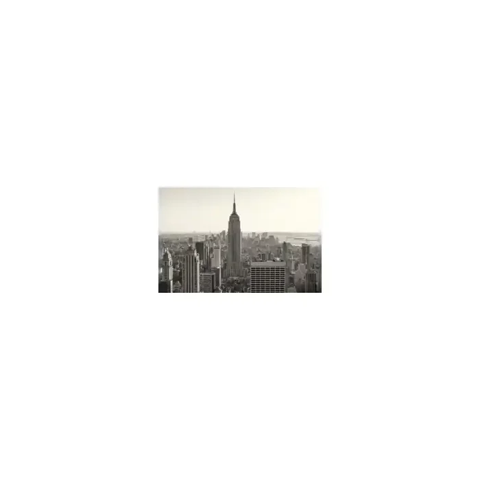Fotomural New York City FLF008, 300cm. x 201cm., Vinilo Autoadhesivo Mate, Todo Color, Original, 0x0x0x0 cm.
