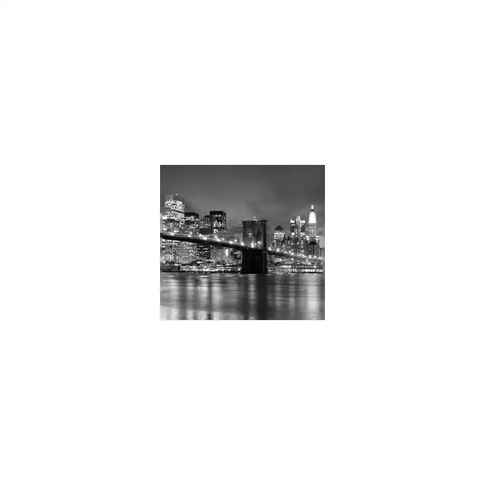 Fotomural NEW YORK NY01, 250cm. x 220cm., Papel Pintado, Todo Color, Original, 0x0x0x0 cm.